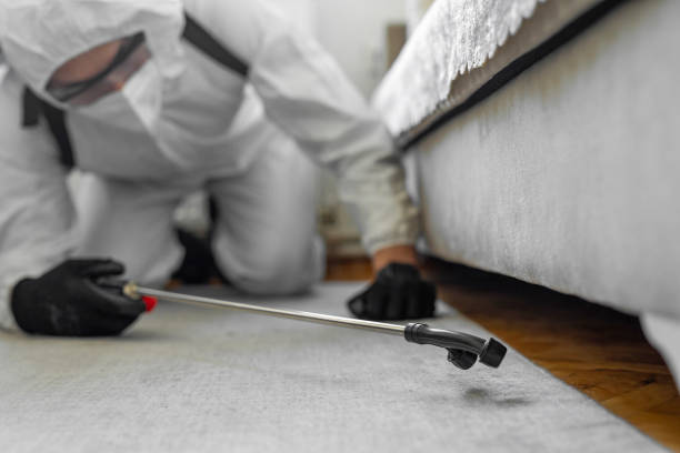 Professional Bed Bug Control technician working in Roseau, MN
